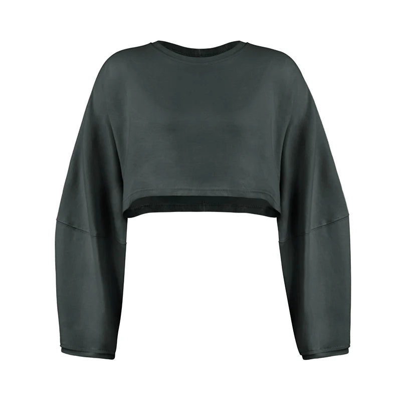 Women's Long Sleeve Sports Crop Top – Loose Gym Yoga T-Shirt Spring Autumn Fitness Wear