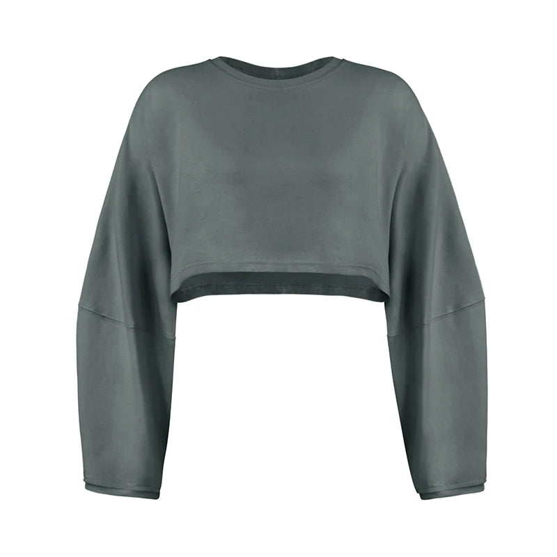 Women's Long Sleeve Sports Crop Top – Loose Gym Yoga T-Shirt Spring Autumn Fitness Wear